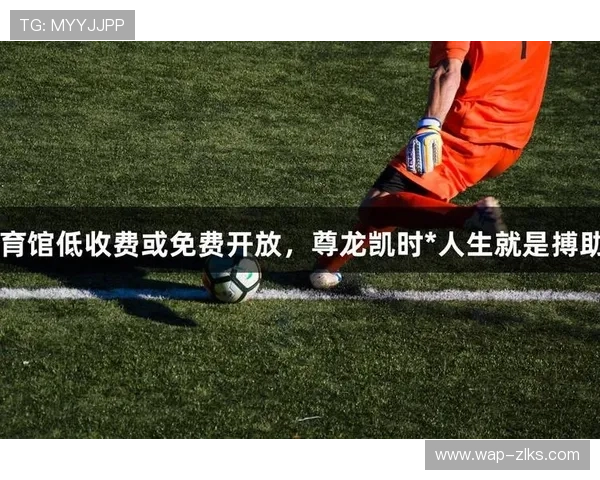 探索尊龙凯时人生就是搏首页背后的成功秘诀与人生哲学